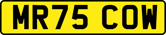 MR75COW