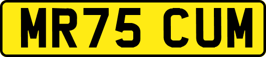 MR75CUM