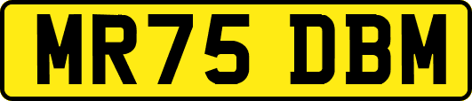 MR75DBM