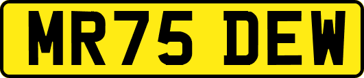 MR75DEW