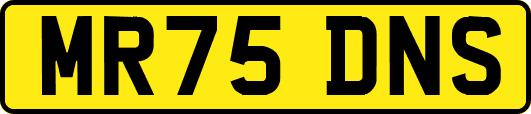 MR75DNS
