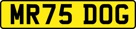 MR75DOG