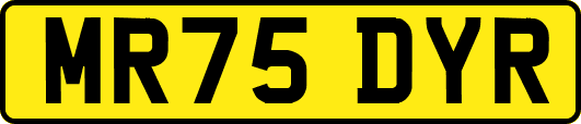 MR75DYR