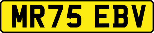 MR75EBV
