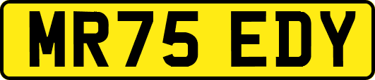 MR75EDY