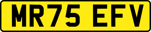 MR75EFV