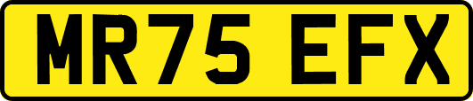 MR75EFX