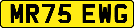 MR75EWG