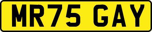 MR75GAY