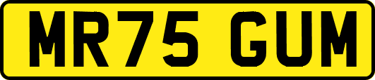 MR75GUM