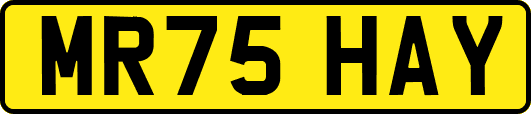 MR75HAY
