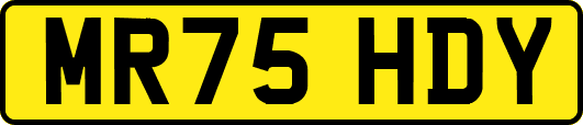 MR75HDY