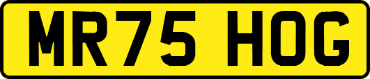 MR75HOG