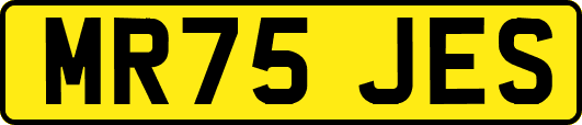 MR75JES