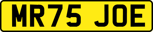 MR75JOE