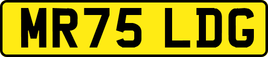 MR75LDG