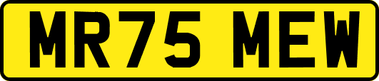 MR75MEW