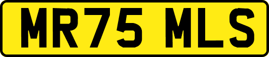 MR75MLS