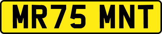 MR75MNT