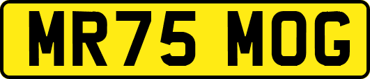 MR75MOG