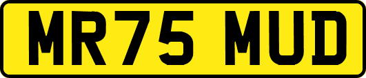 MR75MUD