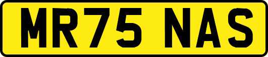 MR75NAS