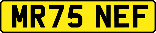 MR75NEF