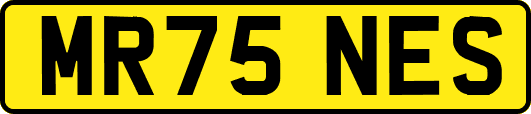 MR75NES