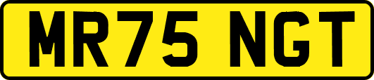 MR75NGT