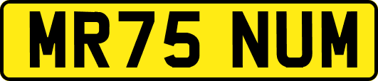 MR75NUM