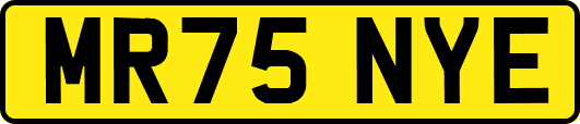 MR75NYE
