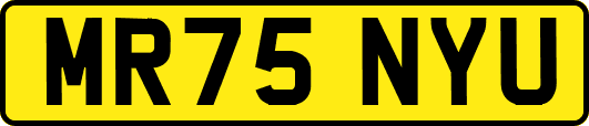 MR75NYU