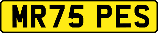 MR75PES