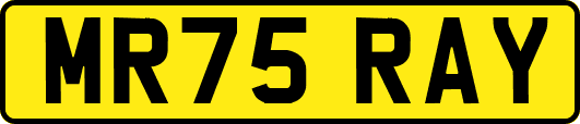 MR75RAY