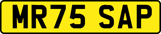 MR75SAP