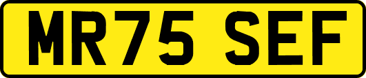 MR75SEF
