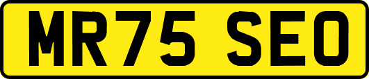 MR75SEO