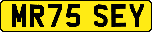 MR75SEY