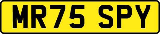 MR75SPY