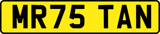 MR75TAN