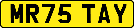 MR75TAY