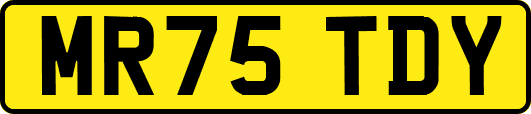 MR75TDY
