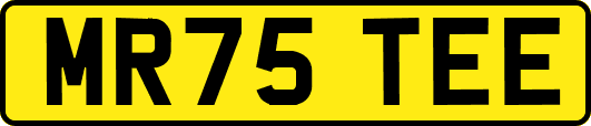 MR75TEE