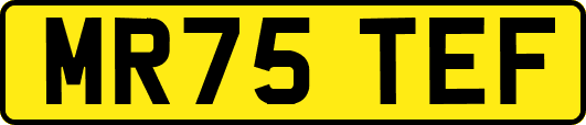 MR75TEF