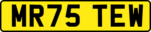 MR75TEW