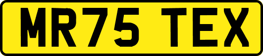 MR75TEX