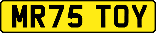 MR75TOY