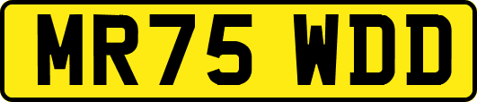 MR75WDD