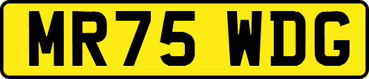 MR75WDG
