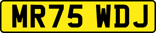 MR75WDJ